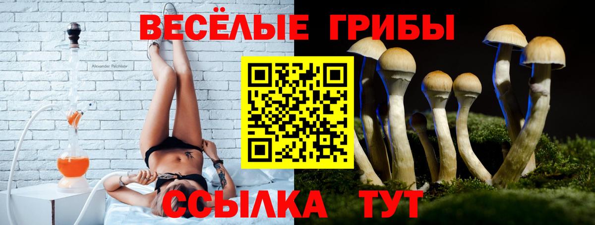 Галлюциногенные грибы Cubensis Калининград